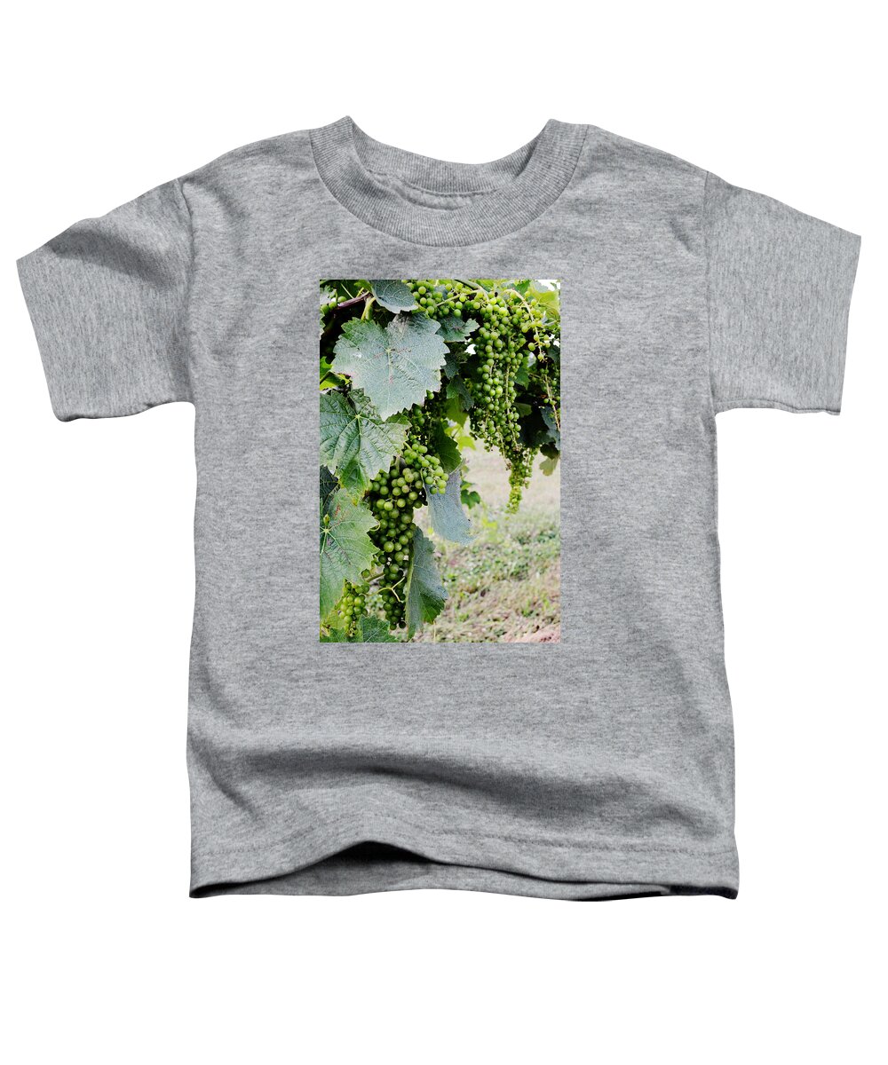 Grapes Toddler T-Shirt featuring the photograph Before the Harvest by La Dolce Vita