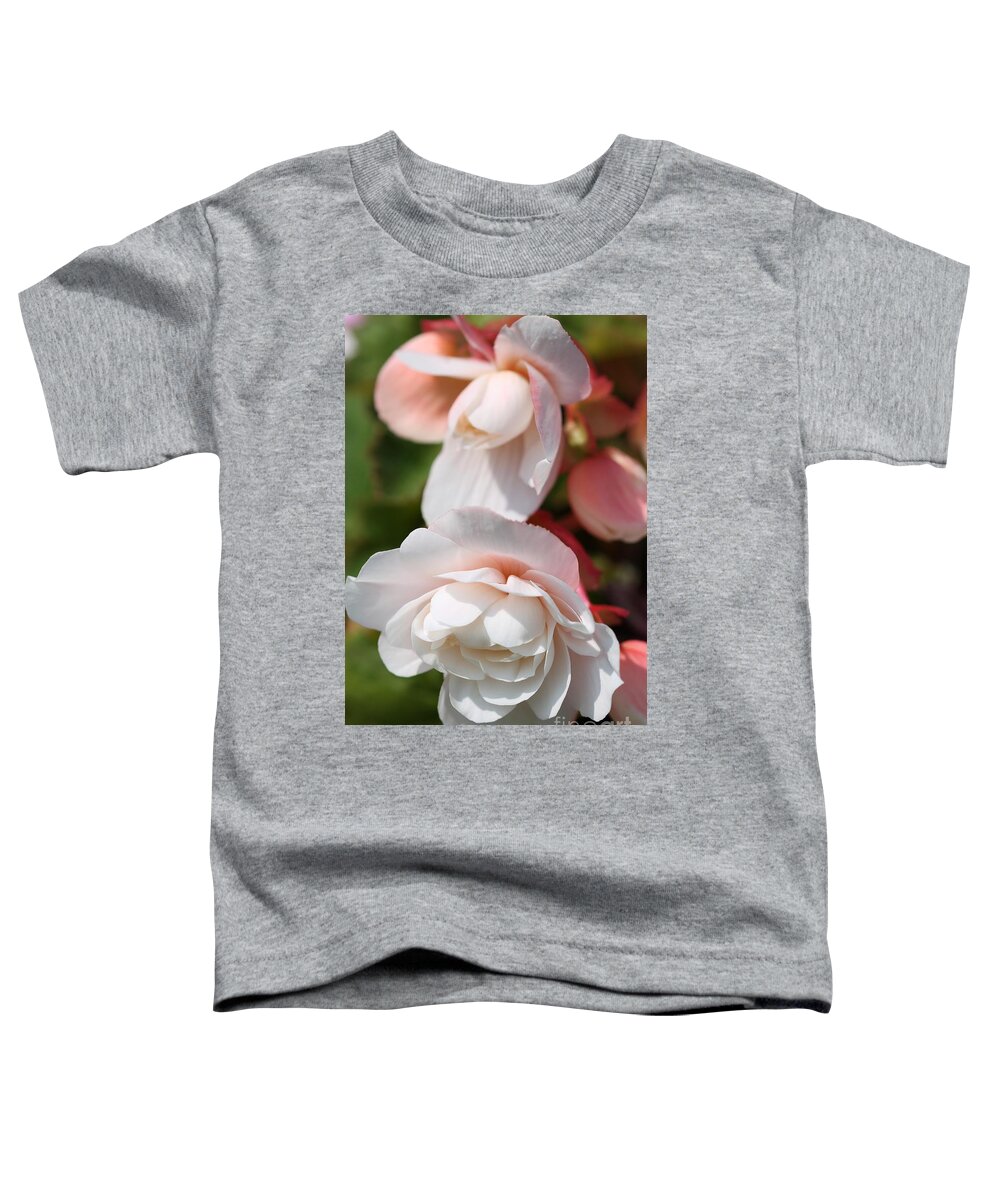 Mccombie Toddler T-Shirt featuring the photograph Belgian Begonia named Angelique by J McCombie