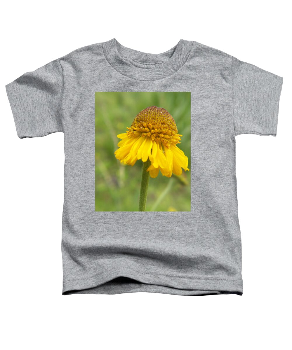 Flower Toddler T-Shirt featuring the photograph Bigelow by Amy Fose