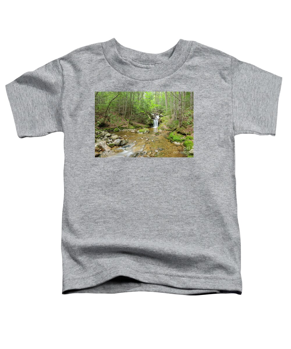 Backcountry Toddler T-Shirt featuring the photograph Birch Island Brook - Lincoln, New Hampshire by Erin Paul Donovan