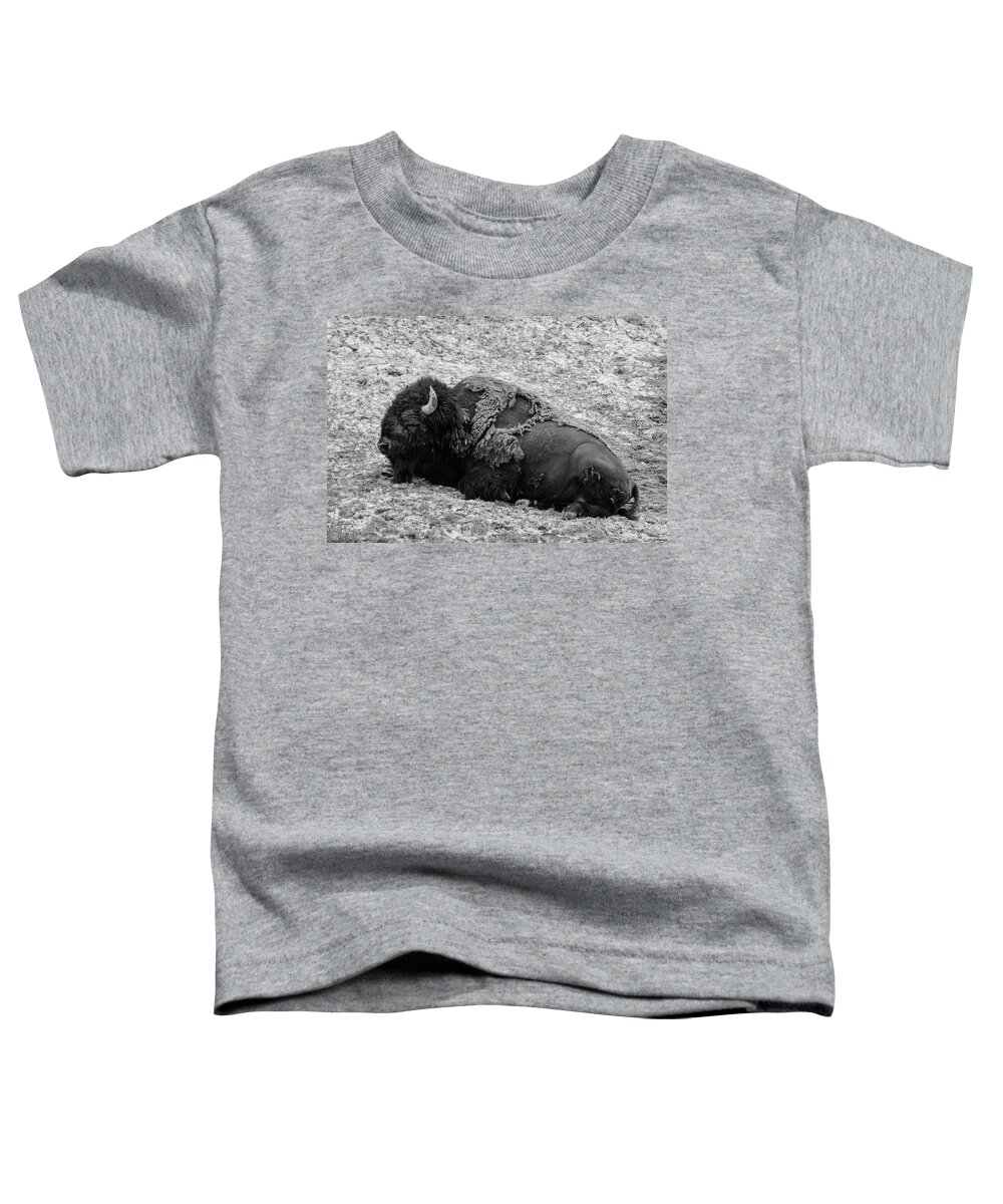 Bison Toddler T-Shirt featuring the photograph Bison Monochrome by Aashish Vaidya