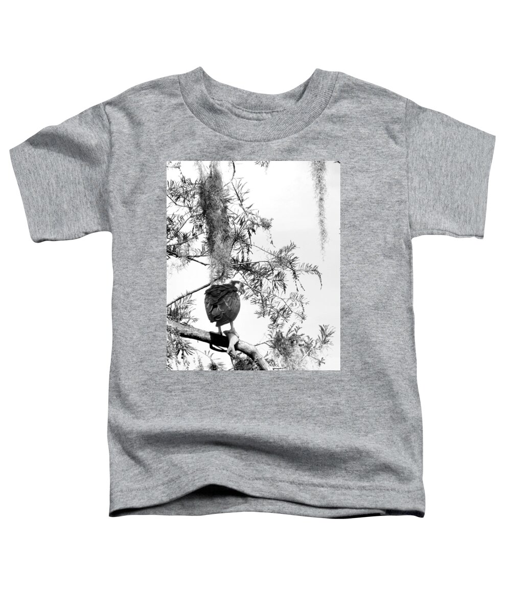 Osprey Toddler T-Shirt featuring the photograph Black and White Osprey with a fish  by Christopher Mercer