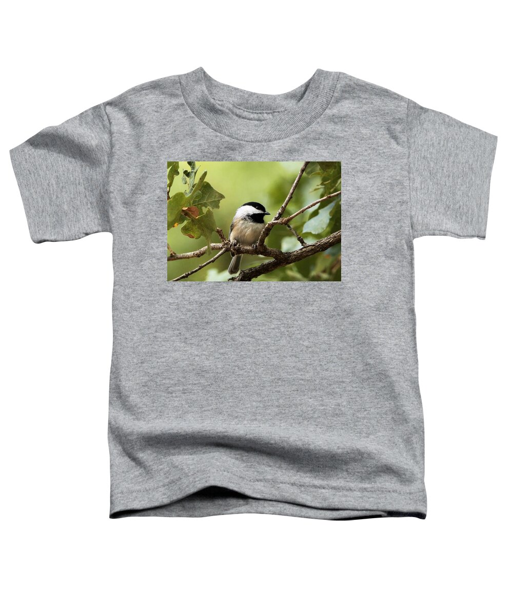 Nature Toddler T-Shirt featuring the photograph Black Capped Chickadee on Branch by Sheila Brown