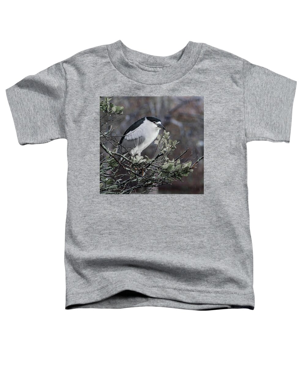 Black-crowned Night-heron Toddler T-Shirt featuring the photograph Black-crowned Night-Heron by Jaime Mercado