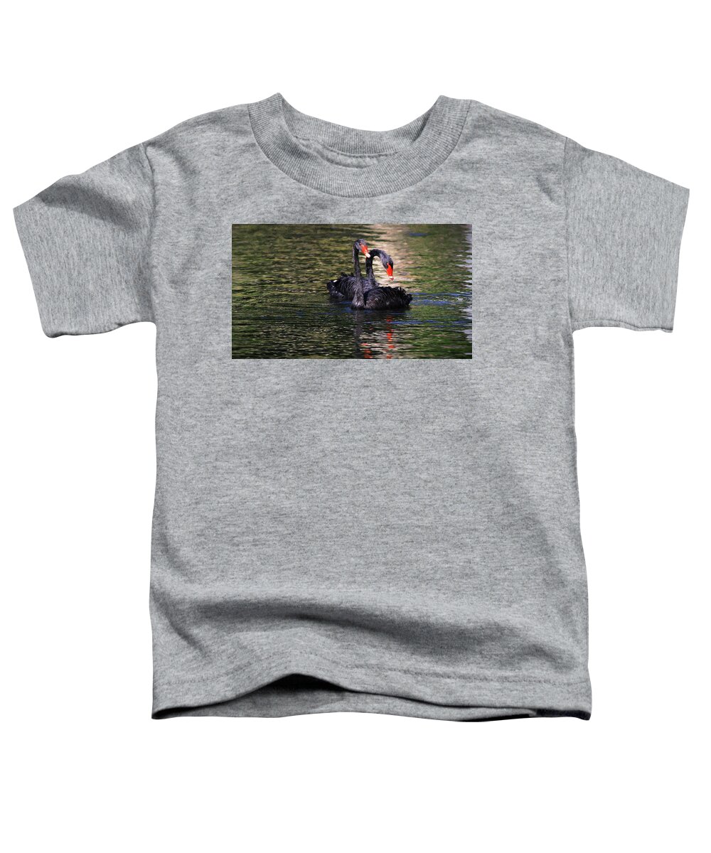 Black Swan Toddler T-Shirt featuring the photograph Black Swans II by Carol Montoya