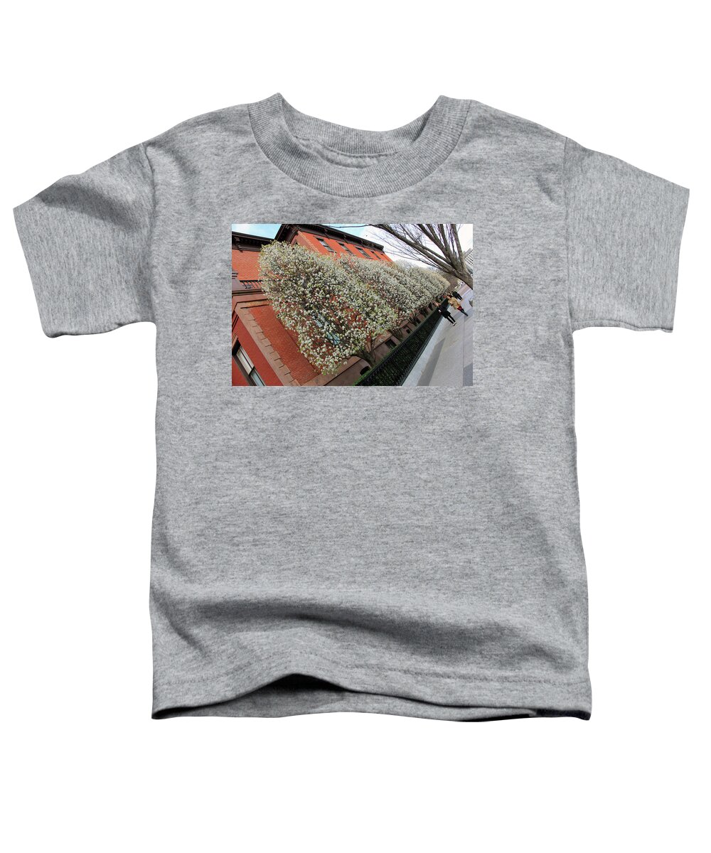 Pear Toddler T-Shirt featuring the photograph A Slant Of Blooming Pear Trees by Cora Wandel