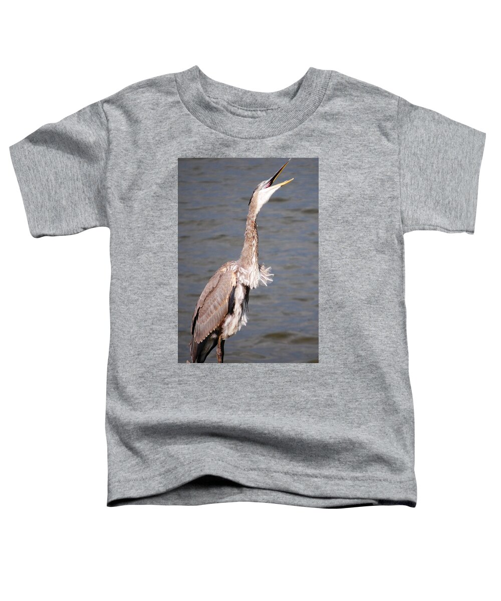 Blue Heron Toddler T-Shirt featuring the photograph Blue Heron Calling by Sumoflam Photography