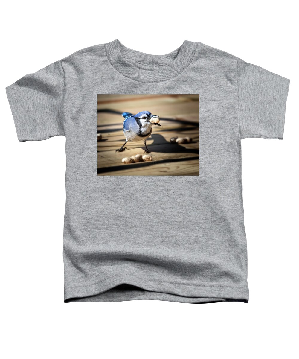 Blue Jay Toddler T-Shirt featuring the photograph Blue Jay eating a Peanut by Al Mueller