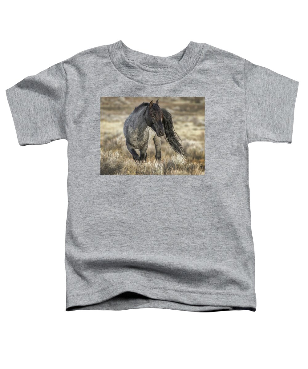 Mustang Toddler T-Shirt featuring the photograph Blue by John T Humphrey