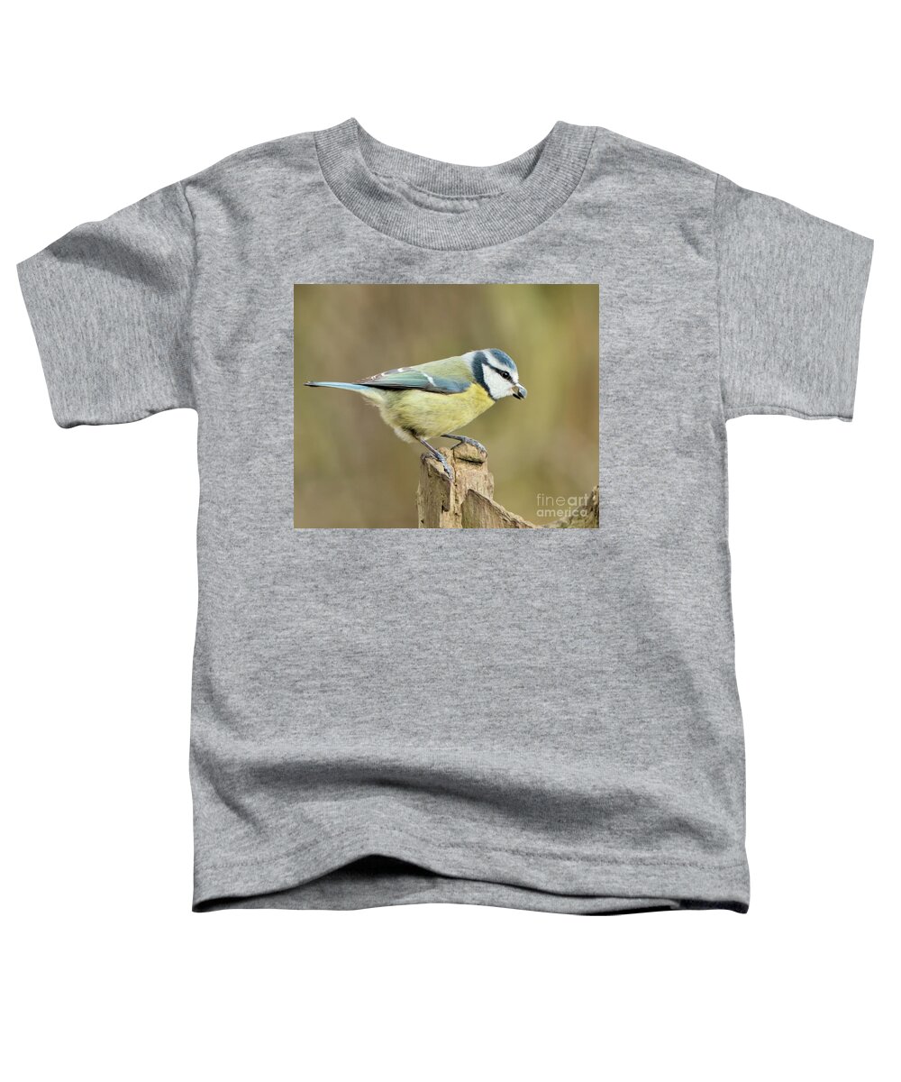  Toddler T-Shirt featuring the photograph Blue Tit by Baggieoldboy