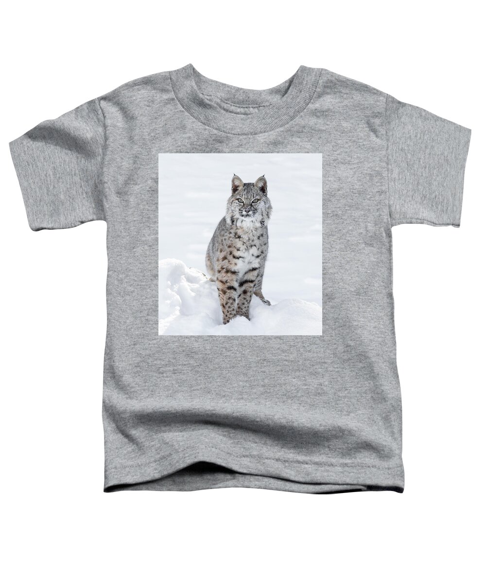 Bobcat Toddler T-Shirt featuring the photograph Bobcat by Elizabeth Waitinas