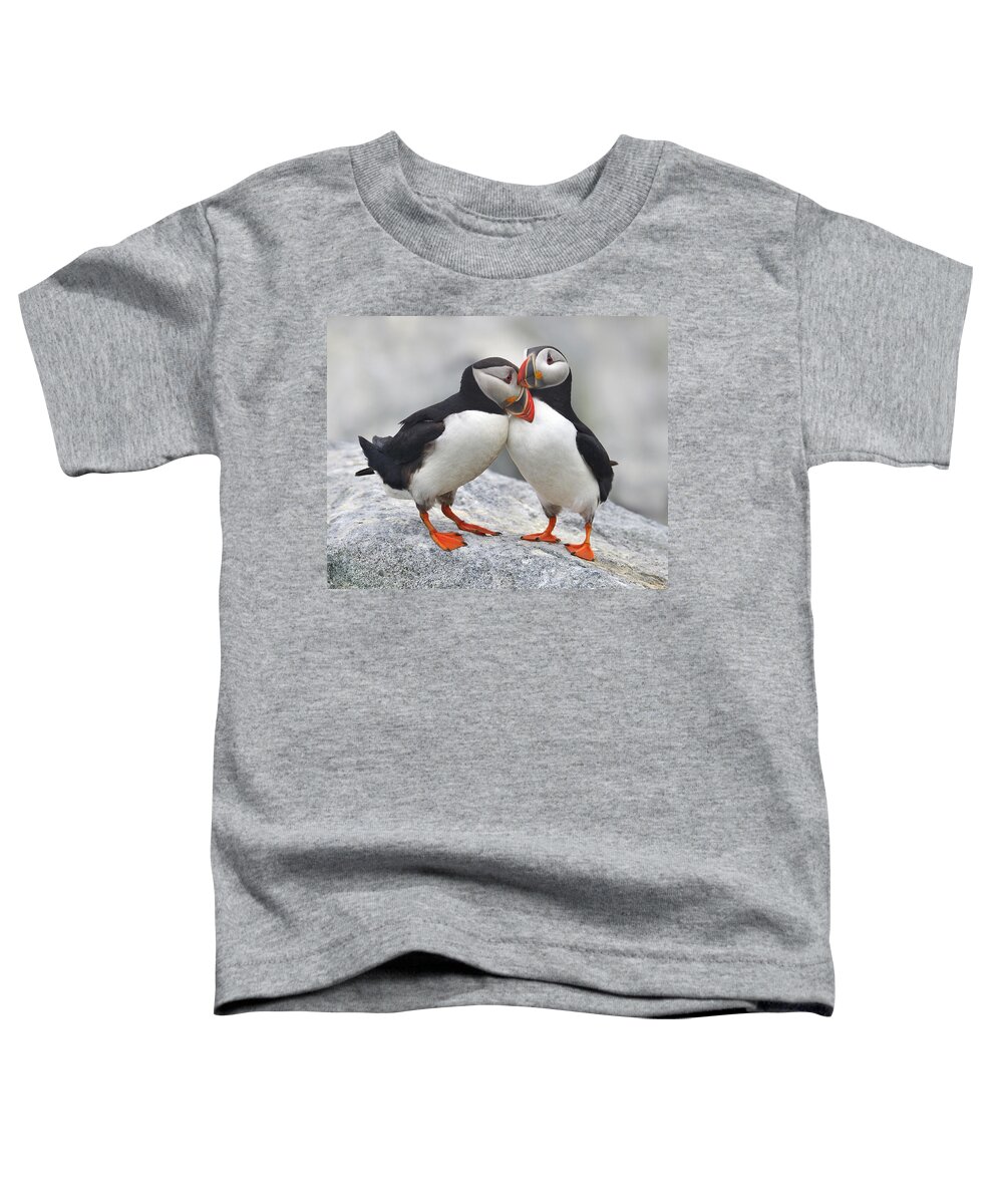 Atlantic Puffin Toddler T-Shirt featuring the photograph Bonded and Banded by Tony Beck