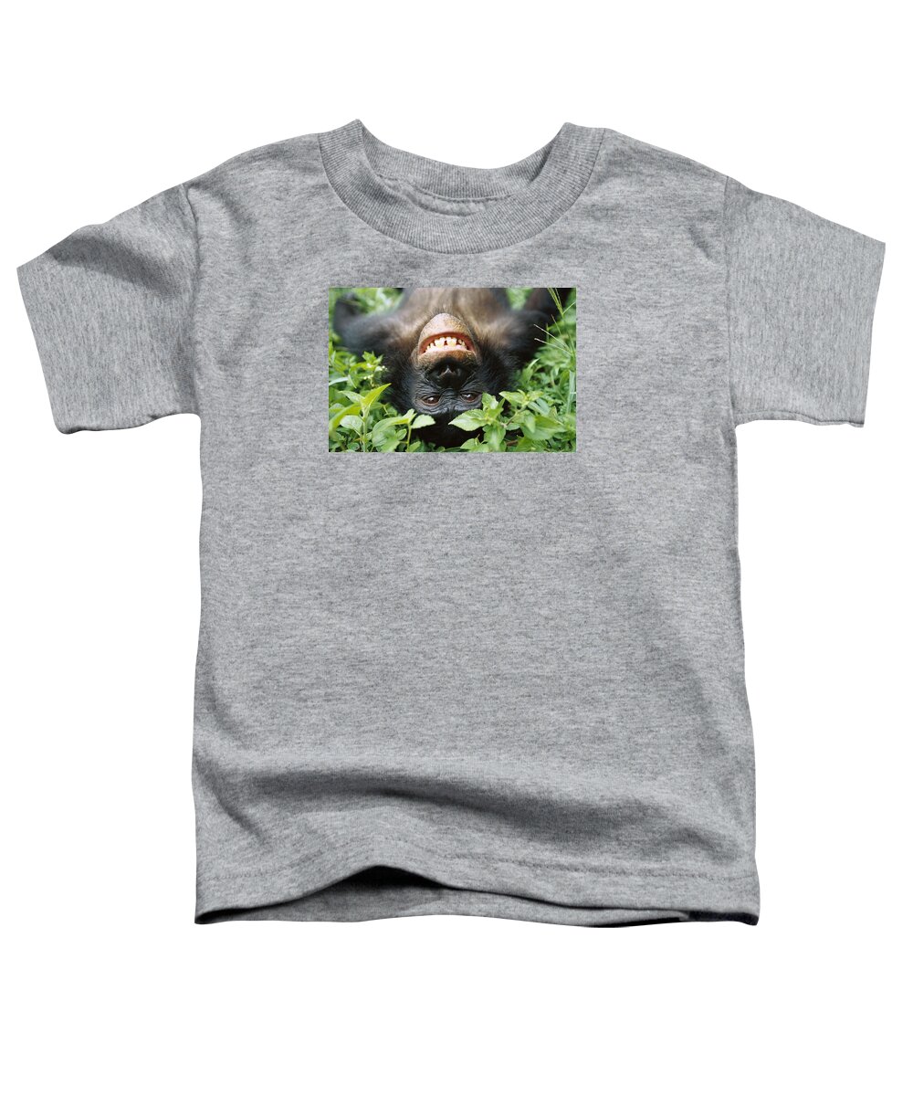 #faatoppicks Toddler T-Shirt featuring the photograph Bonobo Smiling by Cyril Ruoso