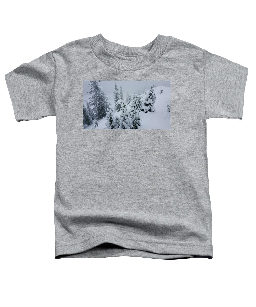 Bow Summit Toddler T-Shirt featuring the photograph Bow Summit Winter Landscape 02 by William Slider