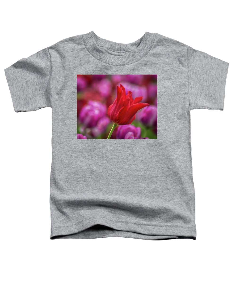 Purple Toddler T-Shirt featuring the photograph Brazenly Delicate by Bill Pevlor
