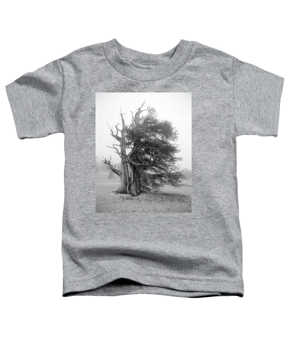 Bristlecone Toddler T-Shirt featuring the photograph Bristlecone Mist by Dusty Wynne