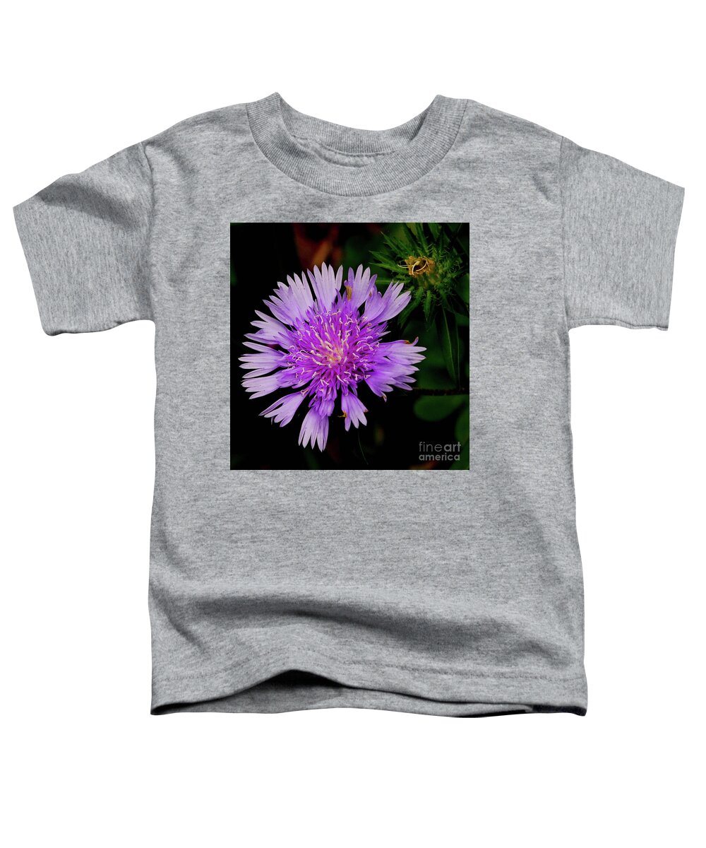 Flower Toddler T-Shirt featuring the photograph Broken Lavender by Barry Bohn
