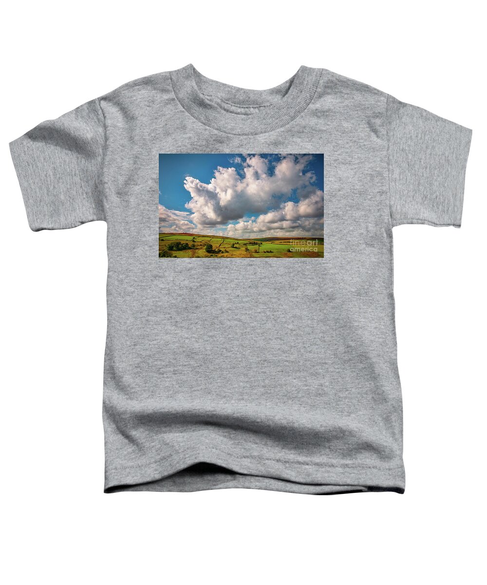 Airedale Toddler T-Shirt featuring the photograph Bronte Walk by Mariusz Talarek