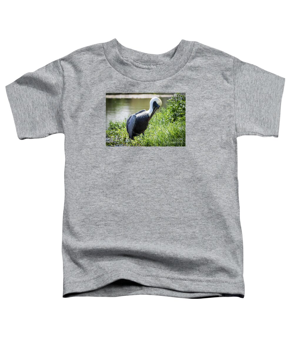 Birds Toddler T-Shirt featuring the photograph Brown Pelican by George Kenhan