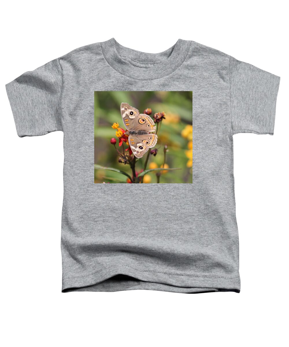 Butterfly Toddler T-Shirt featuring the photograph Buckeye Butterfly by Liz Vernand