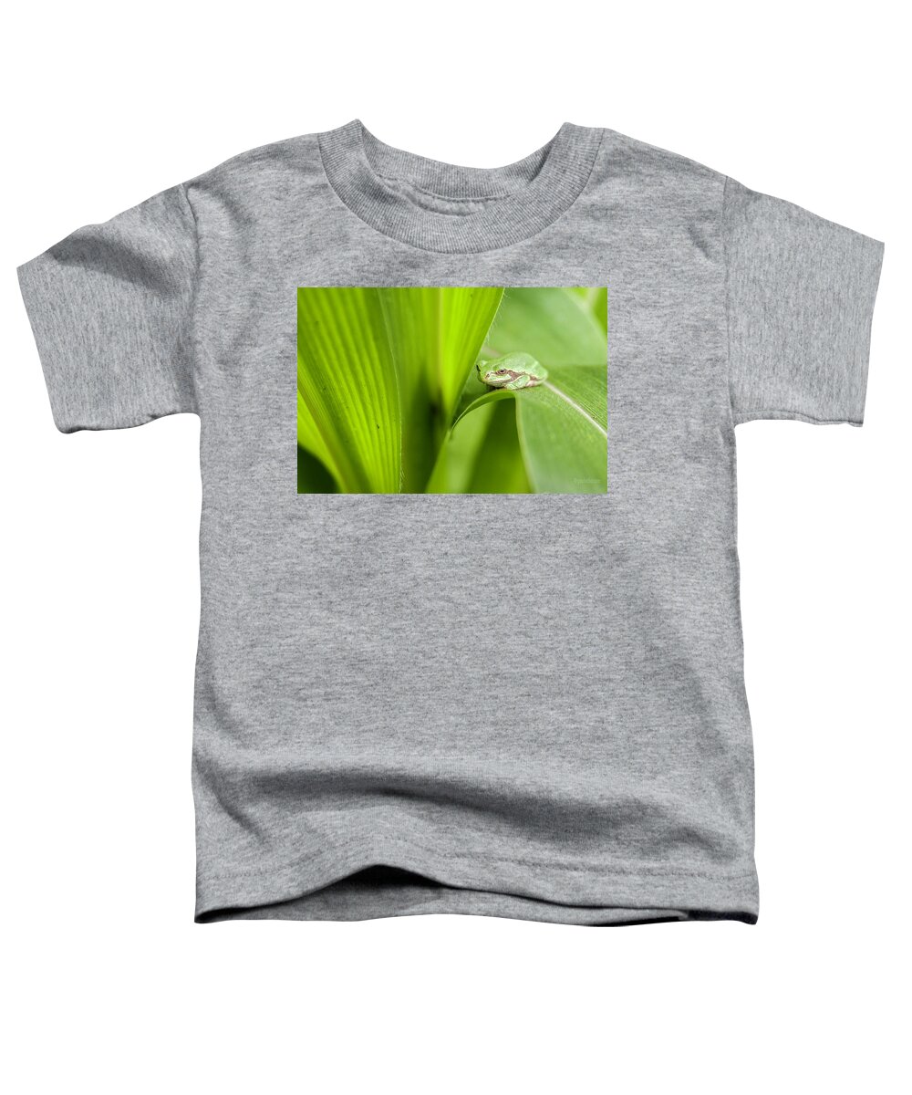  Toddler T-Shirt featuring the photograph Buddha On Corn Leaf.... by Paul Vitko