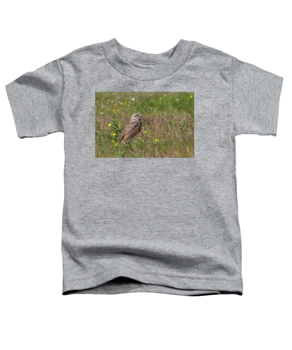 Owl Toddler T-Shirt featuring the photograph Burrowing Owl and Flowers by Paul Rebmann