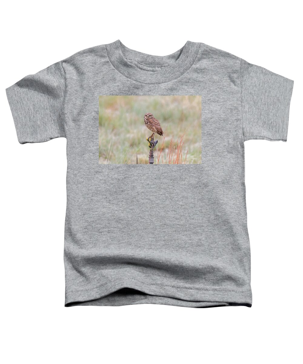 Owl Toddler T-Shirt featuring the photograph Burrowing Owl On a Sprinkler by Tony Hake