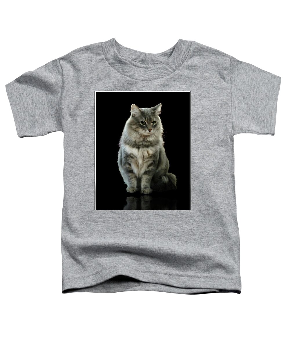 Cat Toddler T-Shirt featuring the photograph Bustopher Jones by Aleksander Rotner