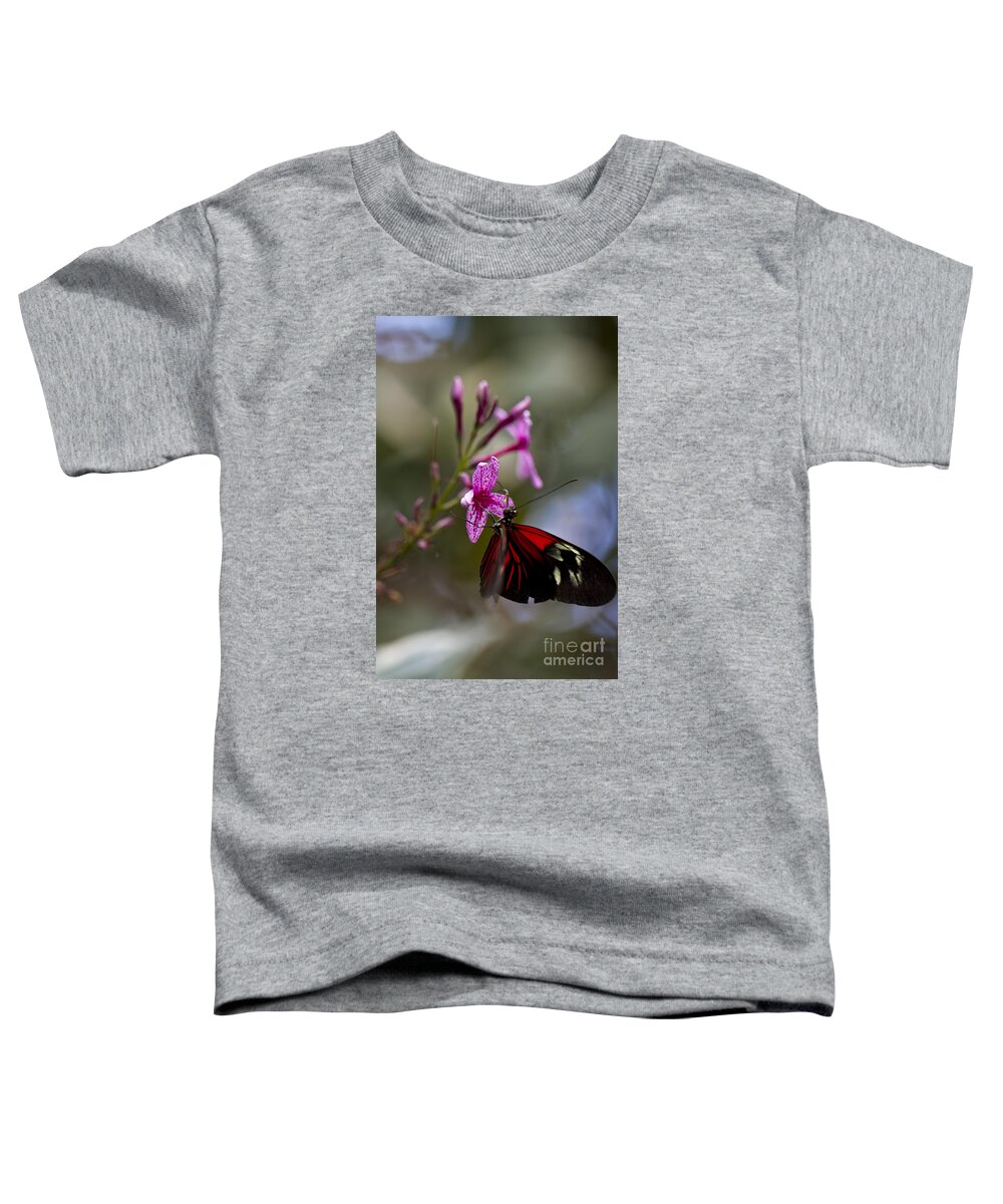Butterfly Toddler T-Shirt featuring the photograph Butter it Up by Douglas Kikendall