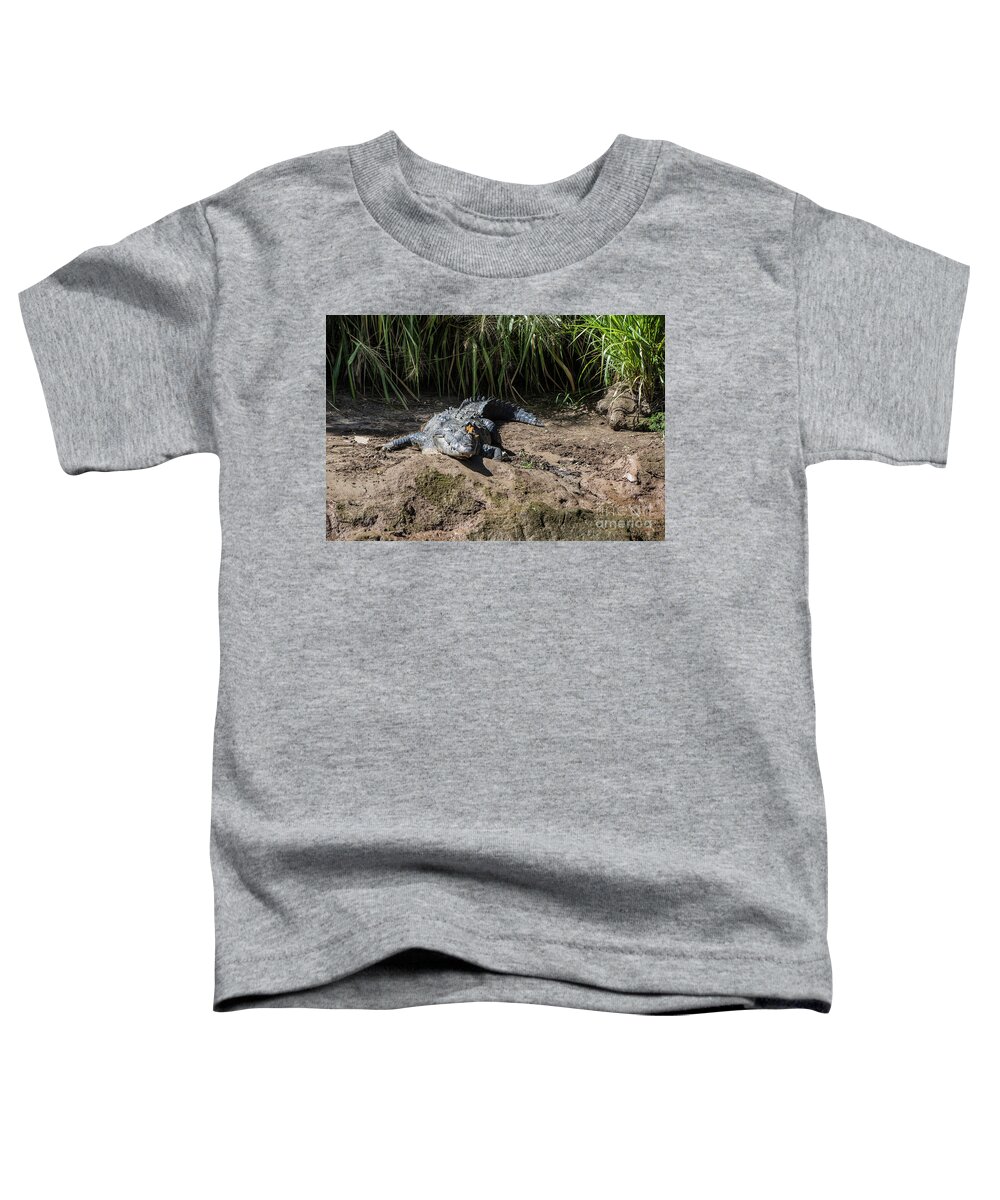Canyon Toddler T-Shirt featuring the photograph Butterflies on a Crocodile by Kathy McClure