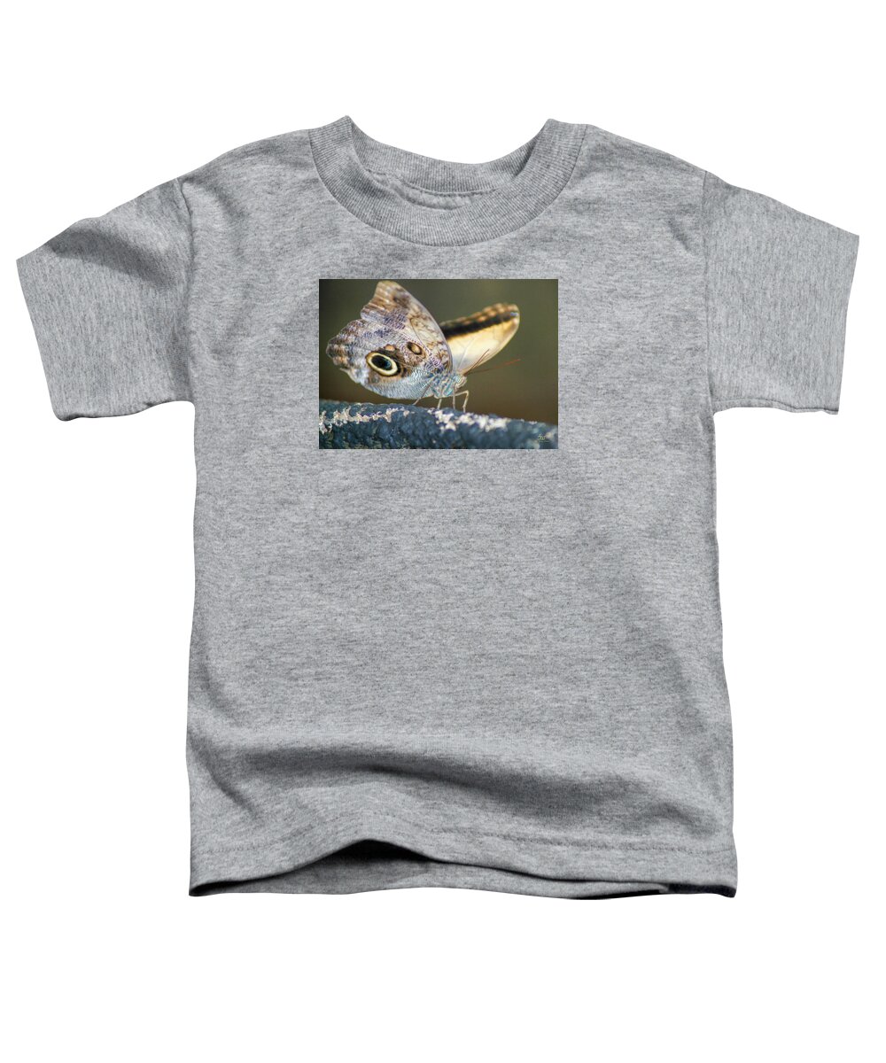 Bird Toddler T-Shirt featuring the photograph Butterfly No1 by Sam Davis Johnson