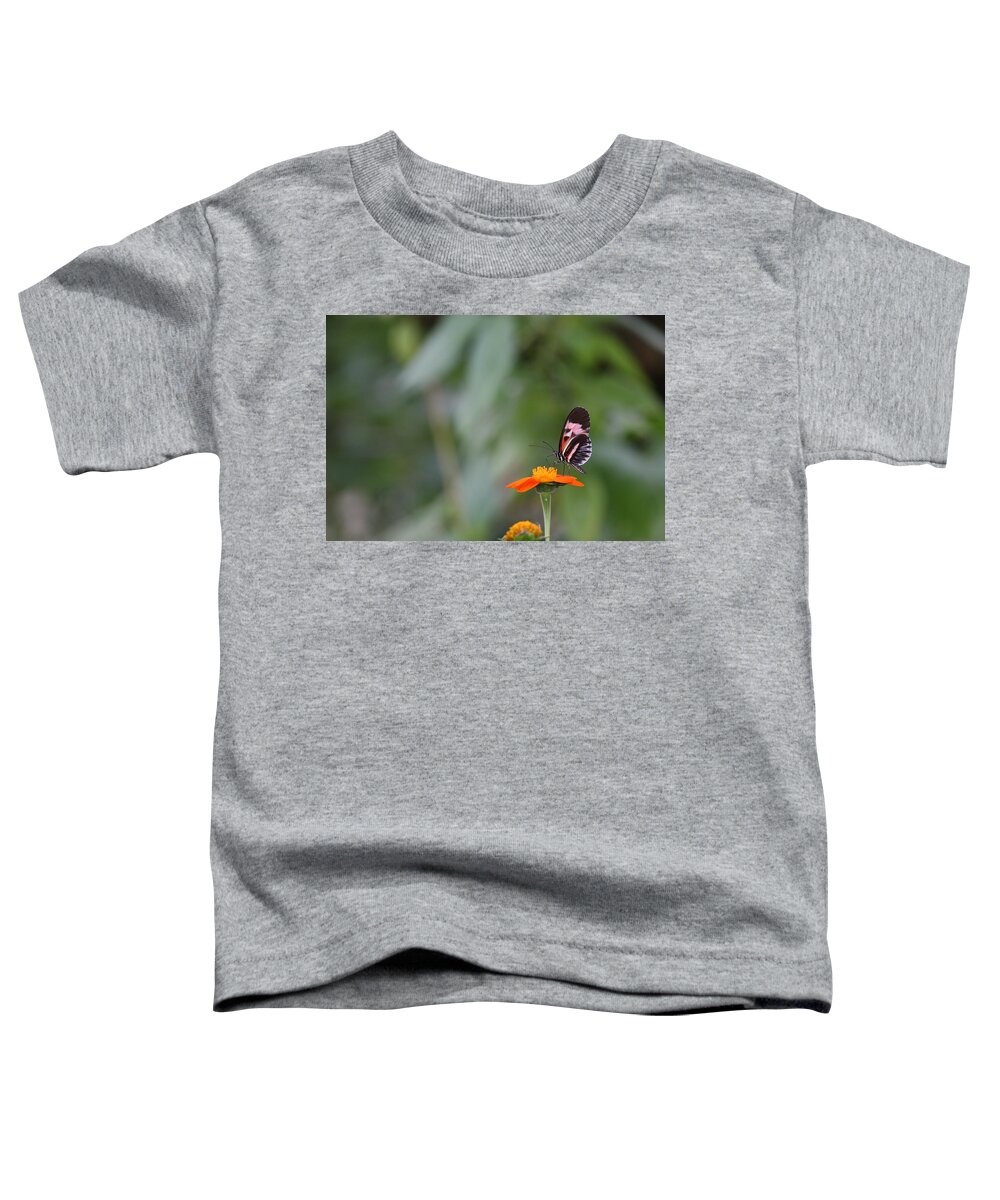 Butterfly Toddler T-Shirt featuring the photograph Butterfly 16 by Michael Fryd