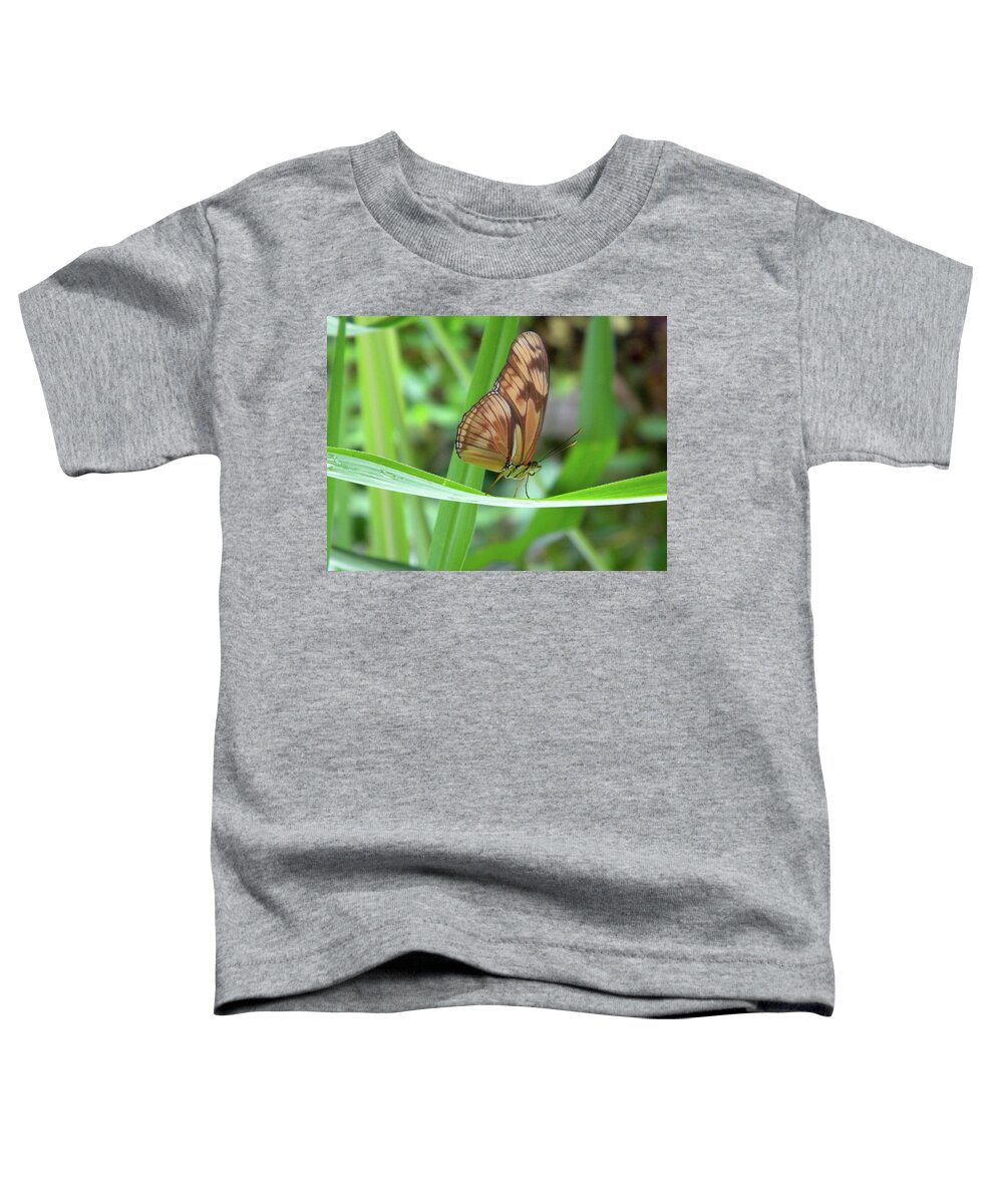 Butterfly Toddler T-Shirt featuring the photograph Butterfly by Manuela Constantin