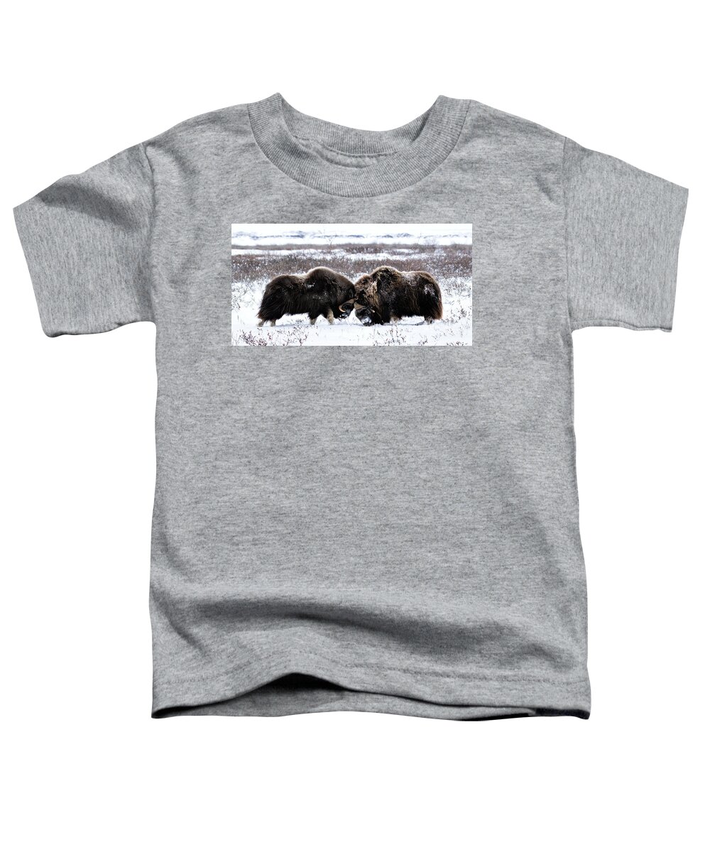 Usa Toddler T-Shirt featuring the photograph Butting Heads by Cheryl Strahl
