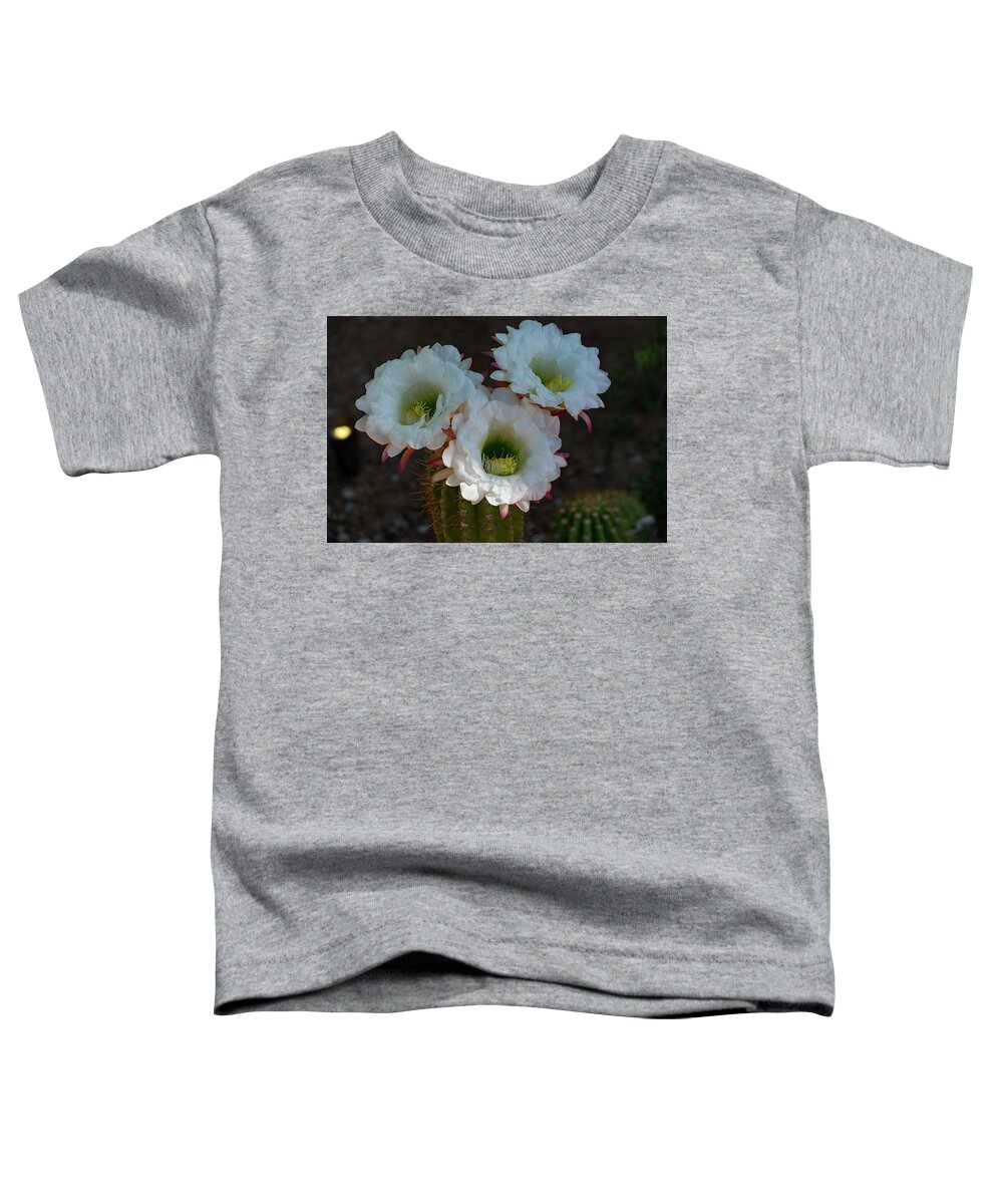 Cactus Toddler T-Shirt featuring the photograph Cactus Flowers by Douglas Killourie