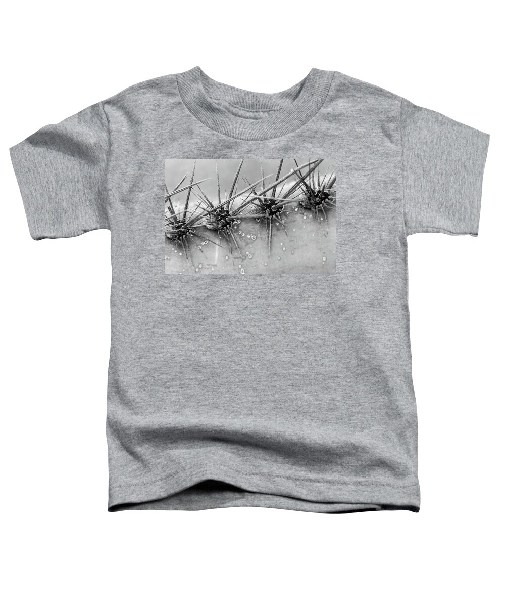Abstract Toddler T-Shirt featuring the photograph Cactus Spikes by SR Green