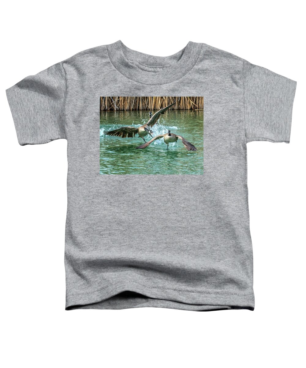Canada Toddler T-Shirt featuring the photograph Canada Geese Chase 4906 by Tam Ryan