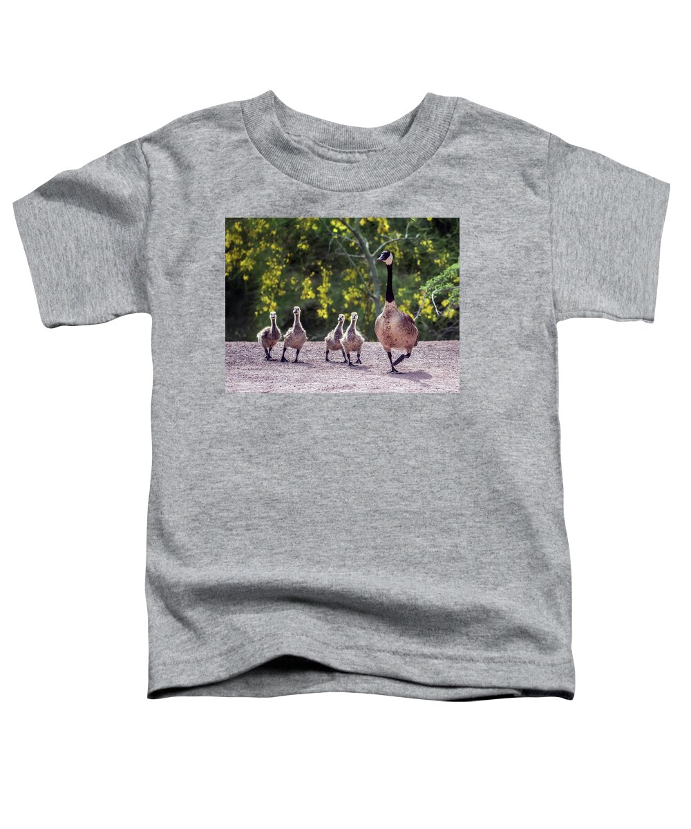 Canada Toddler T-Shirt featuring the photograph Canada Goose and Goslings 7581-042618-1 by Tam Ryan