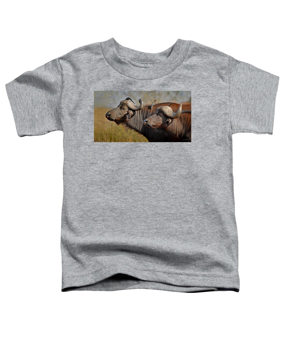 Cape Buffalo Toddler T-Shirt featuring the photograph Cape Buffalo and Their Housekeeper by Joe Bonita