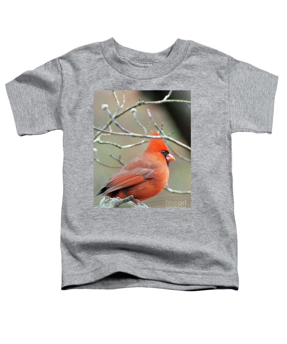 Birding Toddler T-Shirt featuring the photograph Cardinal 58 Tanglewood by Lizi Beard-Ward