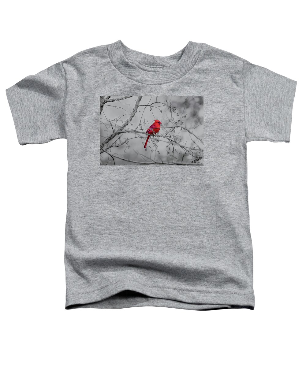 Texas Toddler T-Shirt featuring the photograph Cardinal Grey by Erich Grant