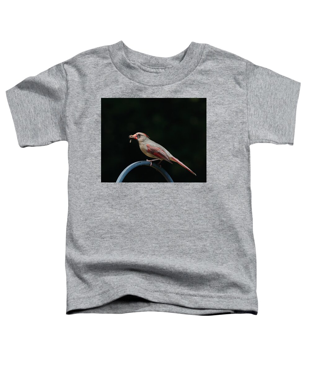 Cardinal Toddler T-Shirt featuring the photograph Food for her children by John Moyer