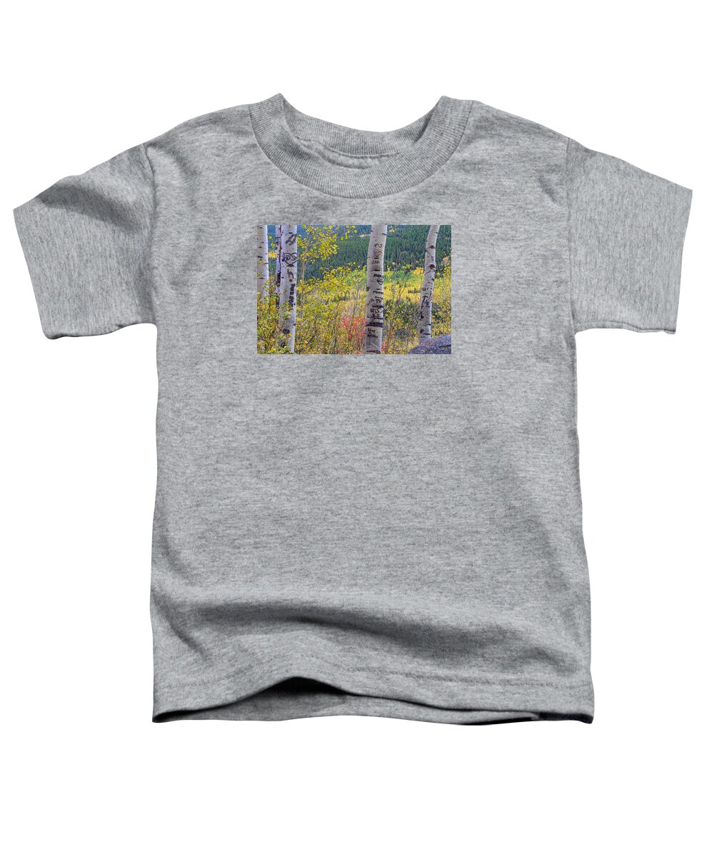 Carved Toddler T-Shirt featuring the photograph Carved Names and Initials in Autumn Aspen Trees by James BO Insogna