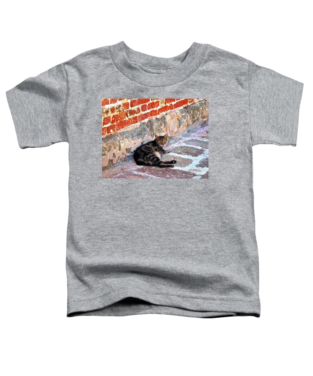 Cats Toddler T-Shirt featuring the photograph Cat Against Stone by Susan Savad