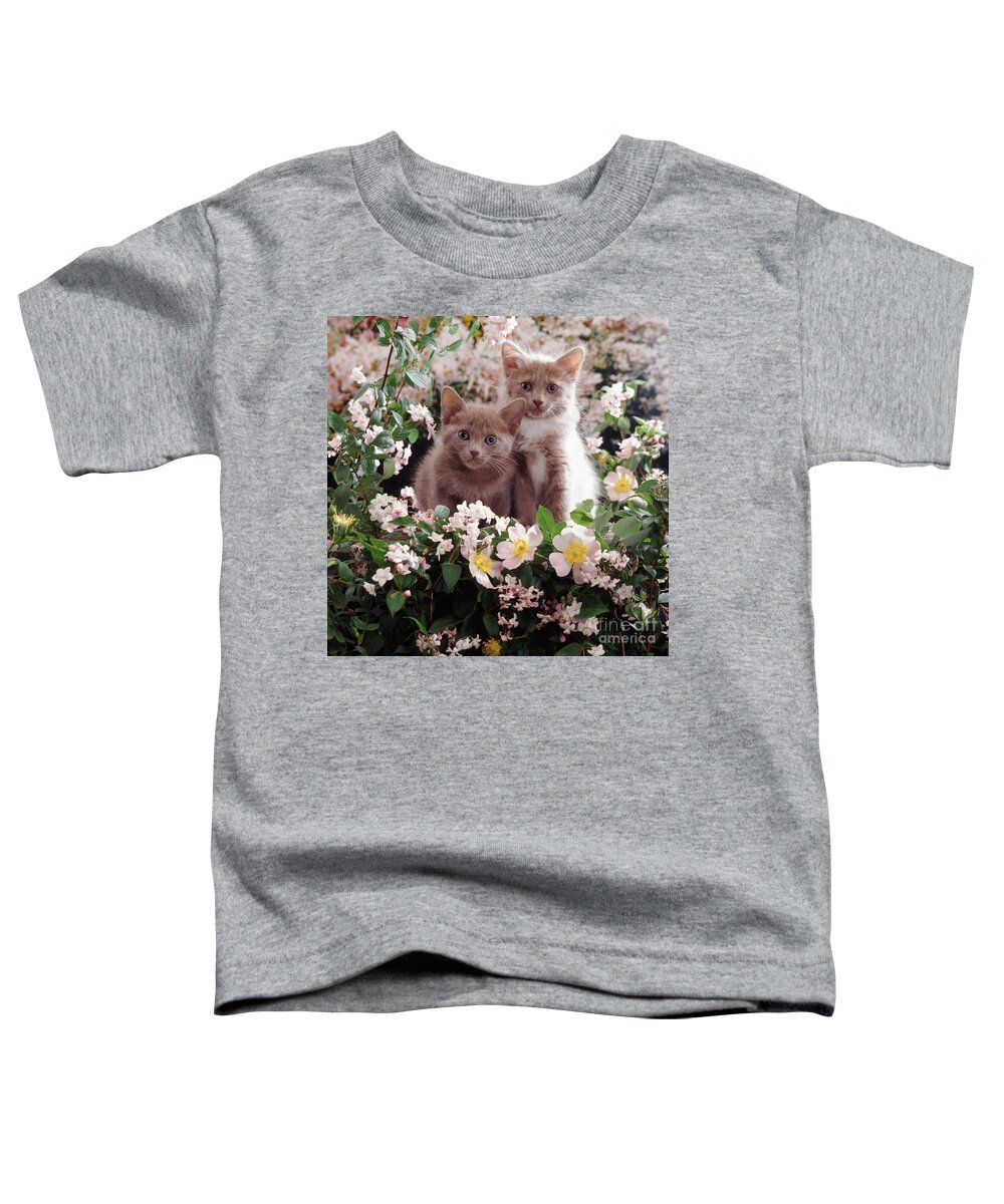 Kittens Toddler T-Shirt featuring the photograph Cat Roses by Warren Photographic