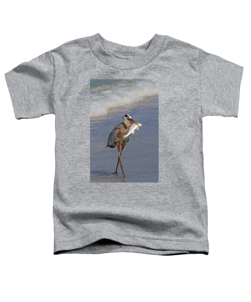 Florida Toddler T-Shirt featuring the photograph Catch of The Day by Paul Schultz