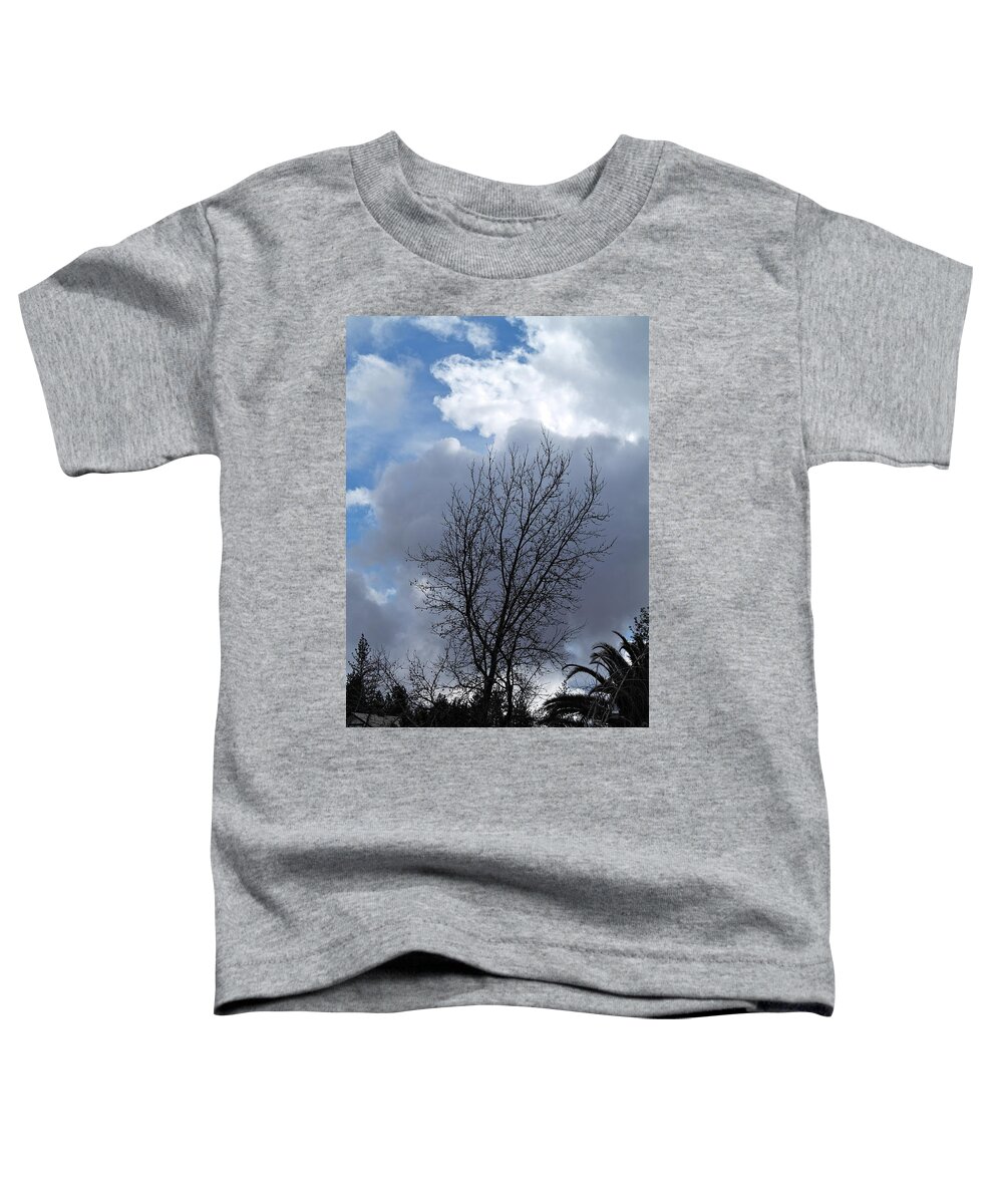 Landscape Toddler T-Shirt featuring the photograph Caught Between the Storms by Michele Myers