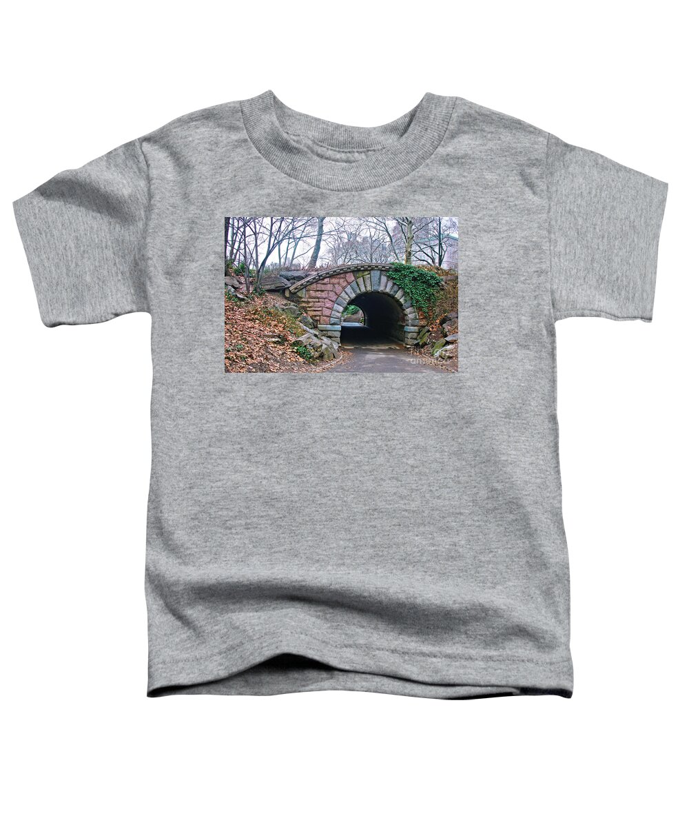 Nyc Toddler T-Shirt featuring the photograph Central Park, NYC Bridge Landscape by Sandy Moulder