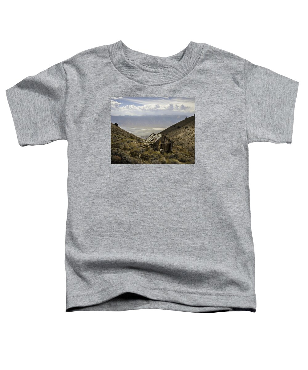 California Toddler T-Shirt featuring the photograph Cerro Gordo Cabin by Dusty Wynne