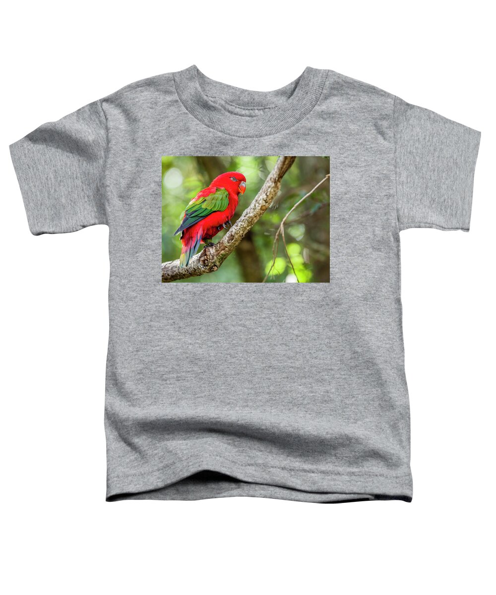 Plettenberg Bay Toddler T-Shirt featuring the photograph Chattering Lory by Alexey Stiop